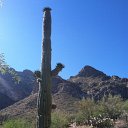 arizona from kells camera - IMG_3157